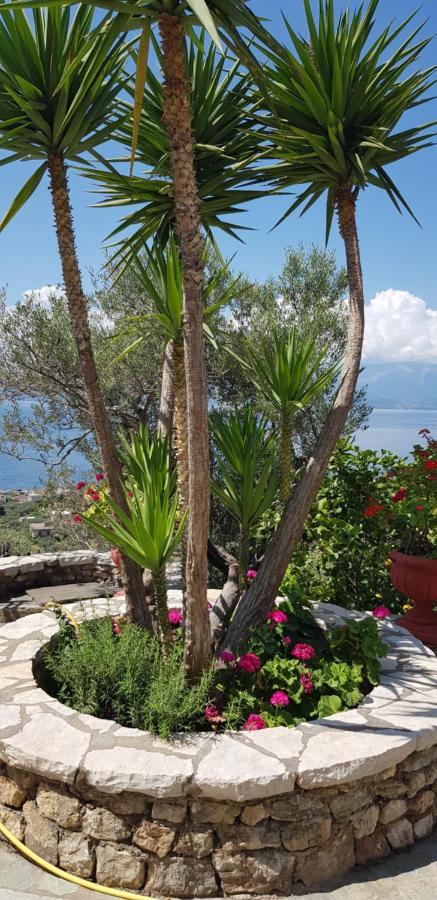 Margherita'S Holidays Home Agios Spyridon  Exteriör bild
